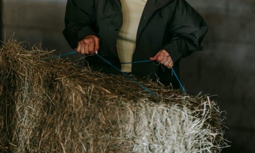 Projet Perfégal et FRAB : accompagner les agricultrices bretonnes vers l’égalité professionnelle en agriculture.